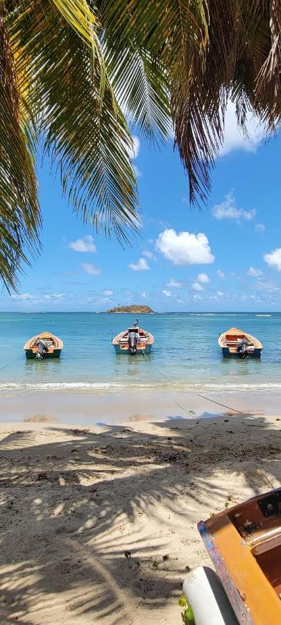 Studio Ana Martinique Ла-Трините Экстерьер фото